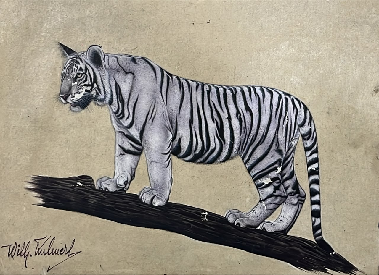Rare hand made miniature painting of White Tiger