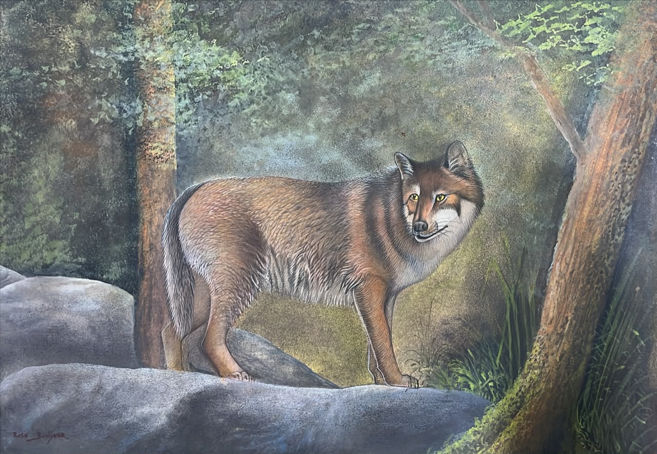 Rare handmade miniature painting of "Wolf"